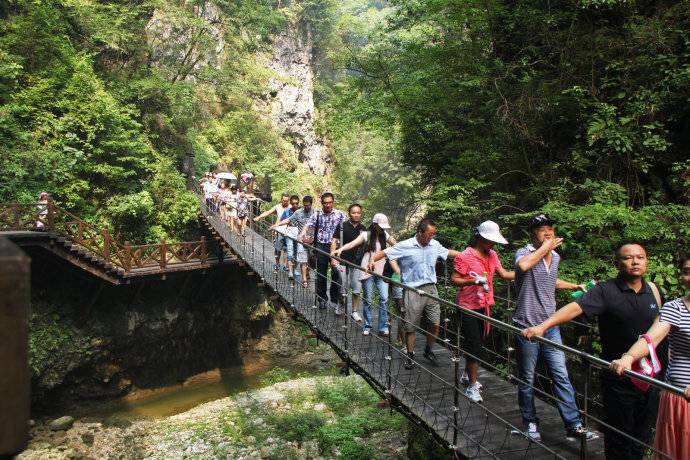 751e5643gc7706a33e6c6&690