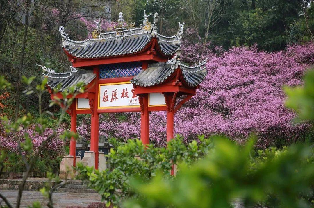 微信图片_20250712092815