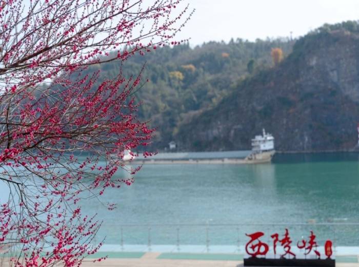 宜昌三峡大坝+三峡升船机+西陵峡二日游跟团游图3