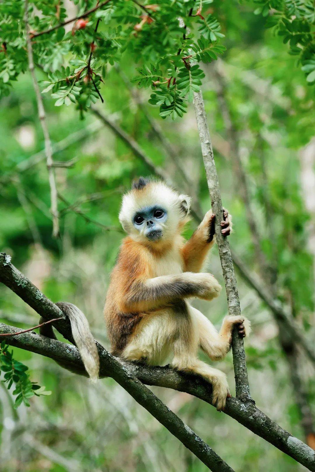 微信图片_20250717091746