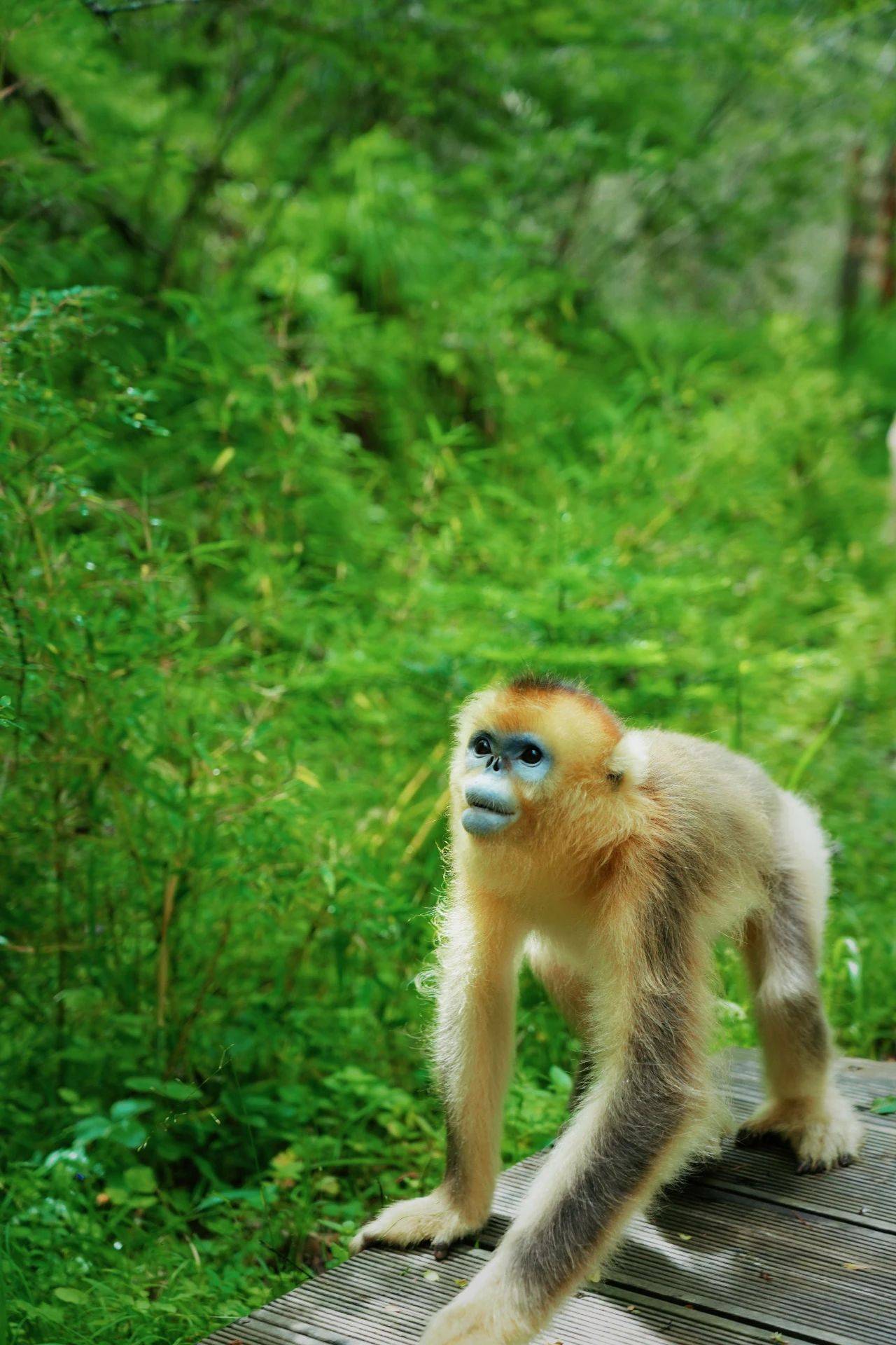 微信图片_20250717091815