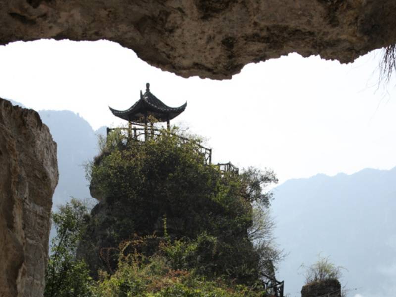 20876_2325967_202002_副本