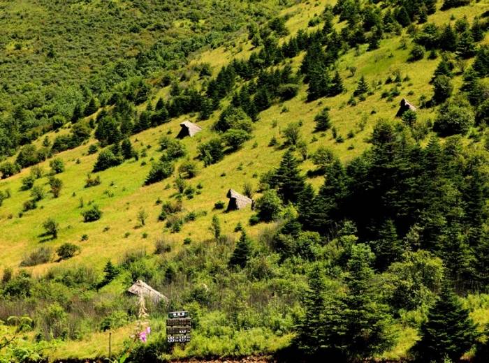 【国佳地质公园】神农架二日游怎么玩，醉佳游玩时间，有哪些景点图3