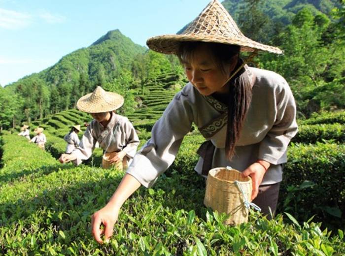 <神农架二日跟团游>纯玩无购物，行程介绍，预定须知，注意事项图3