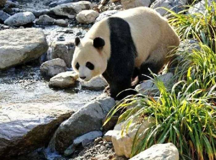 <神农架二日跟团游>纯玩无购物，行程介绍，预定须知，注意事项图4