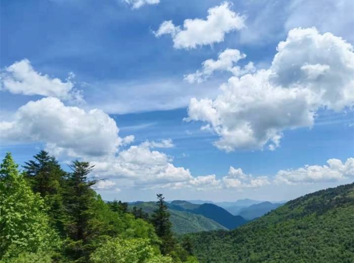 【强推】神农架3日游，跟团价格大曝光，行程规划有哪些图3