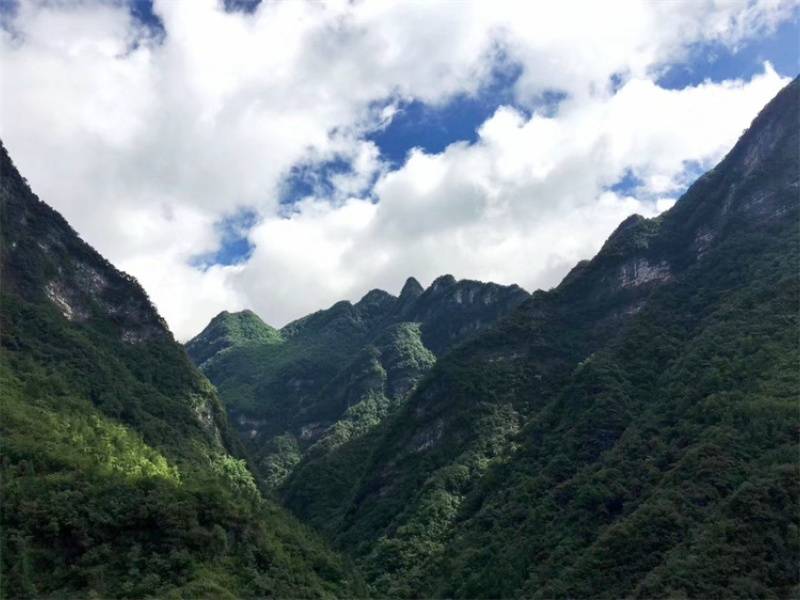 01770bf2491a15fa0034057c6f1b0c60_副本