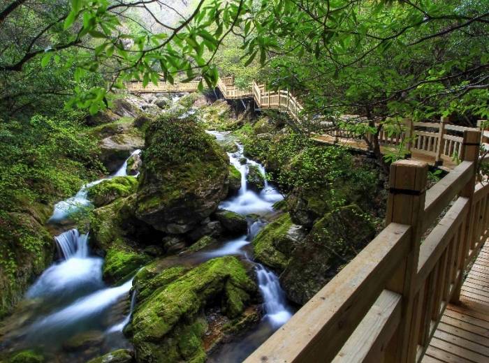 神农架三日游2025年【标准版】景点介绍，出发时间，必备清单一览表图3