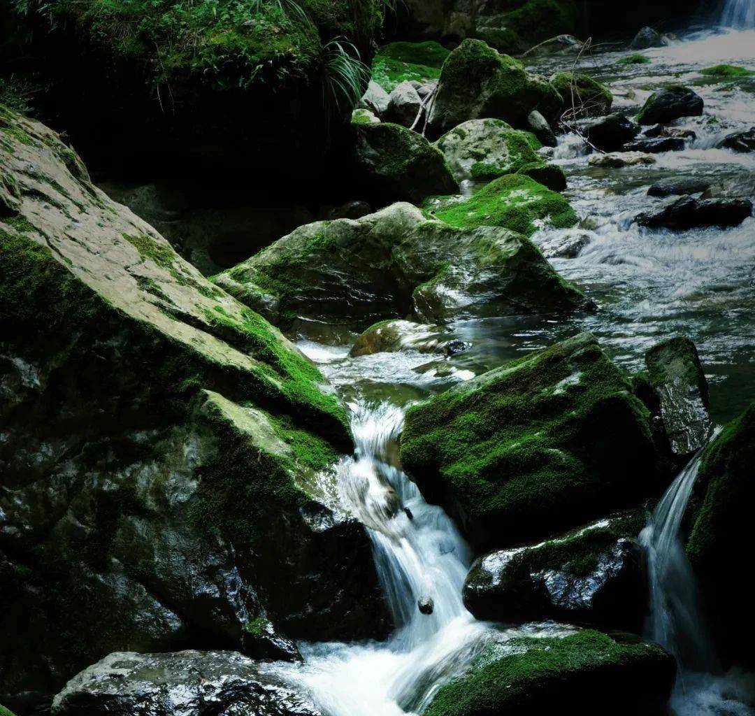 微信图片_2025-08-01_092528_151