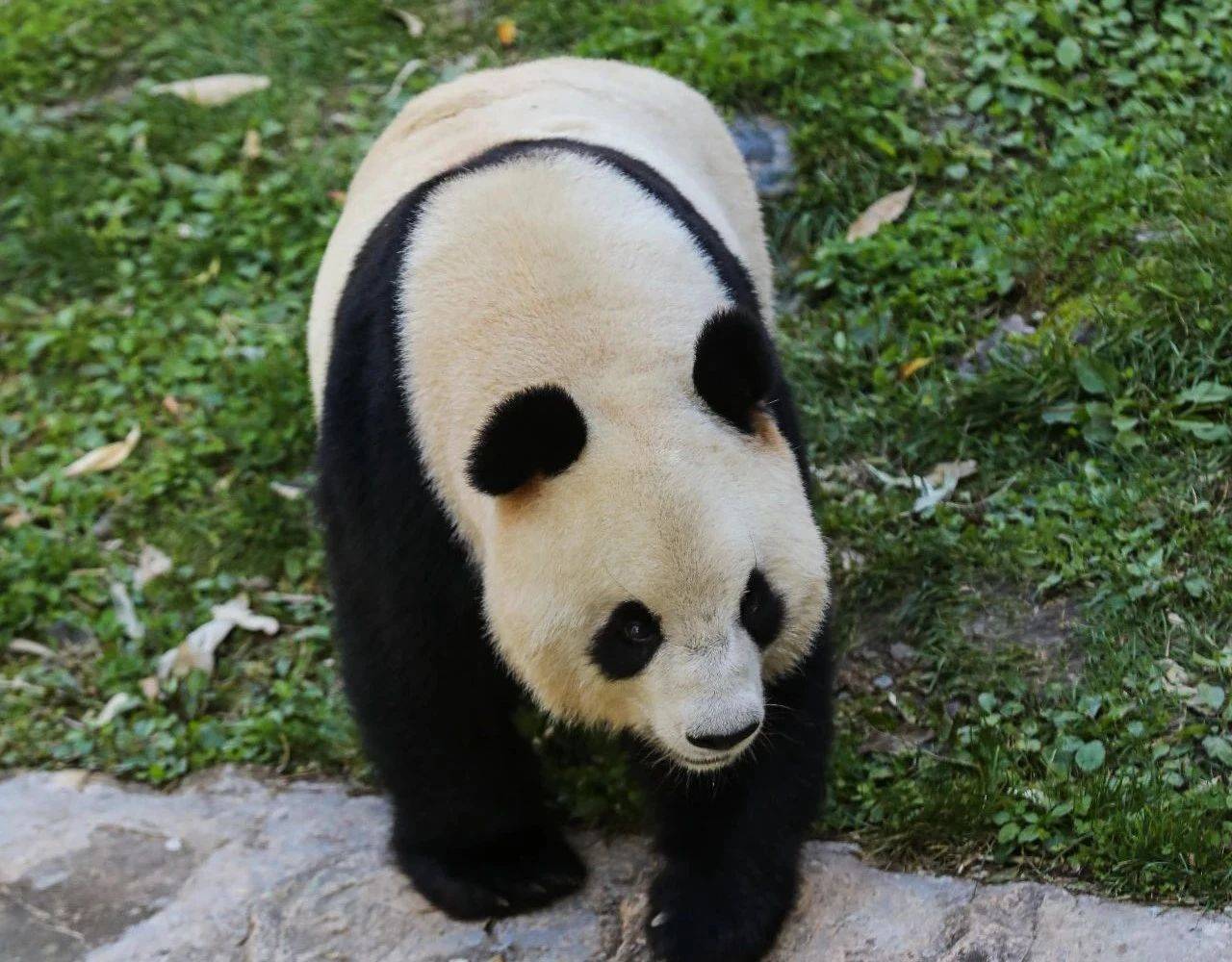 微信图片_2025-08-01_092935_726