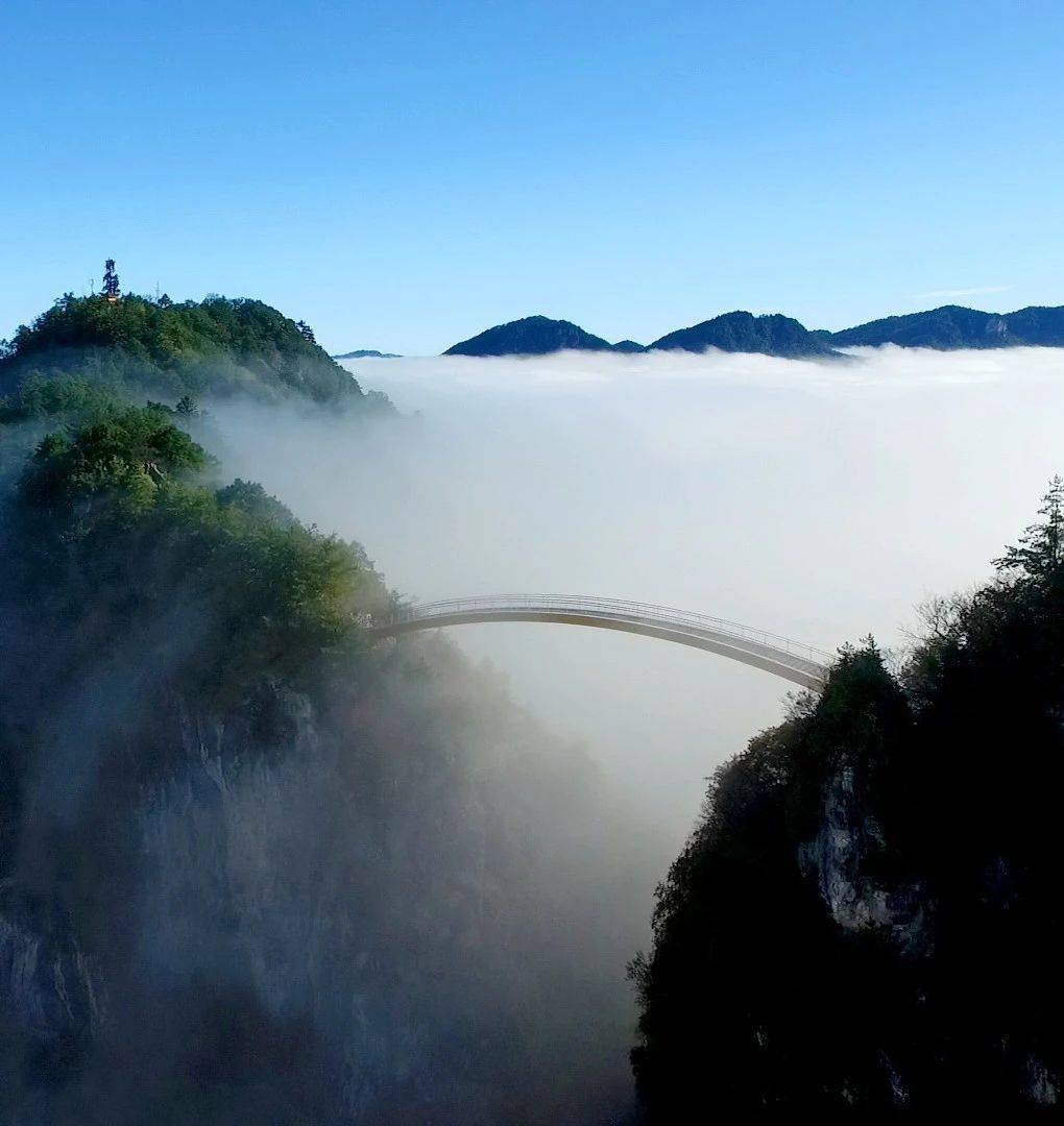 微信图片_2025-08-01_093014_703