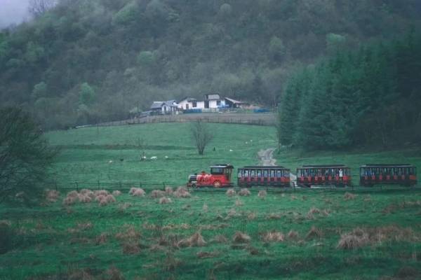 神农架避暑超全攻略，指南+美景+活动，承包你的清凉和浪漫！