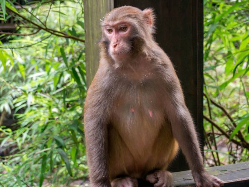 300q0l000000cz4qi9CAC_副本