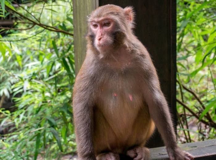 宜昌适合2天的短途旅游，最具性价比的景点有哪些<三峡人家+三峡大瀑布>图2