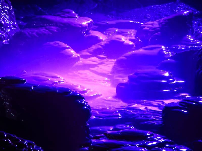 IMG_9864( 摄影：蔡涛 2018年4月25日摄)(1)_副本