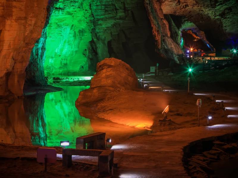 IMG_9883( 摄影：蔡涛 2018年4月25日摄)(1)_副本