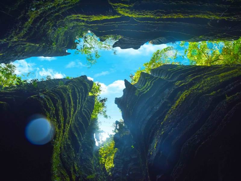 一线天槐摄_副本