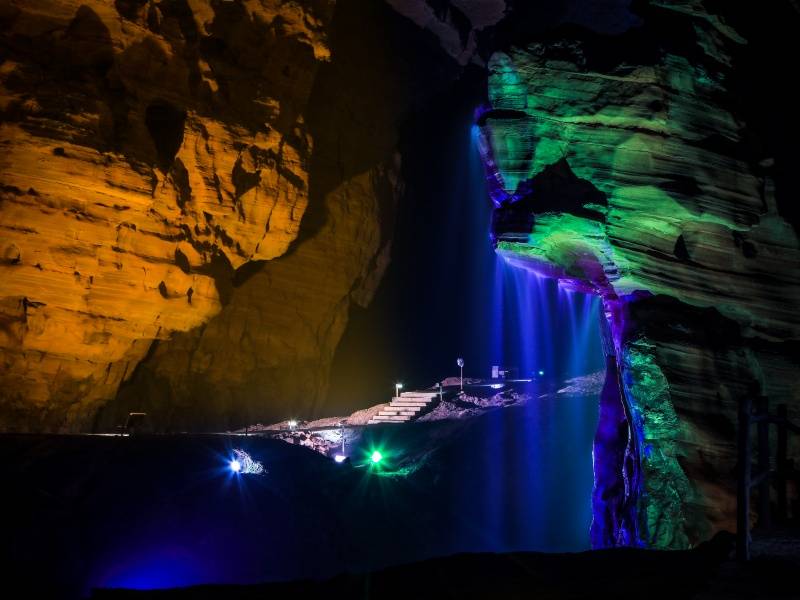 IMG_9915狮子头( 摄影：蔡涛 2018年4月25日摄)(1)_副本