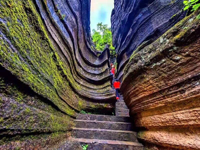 微信图片_20220607154418_副本