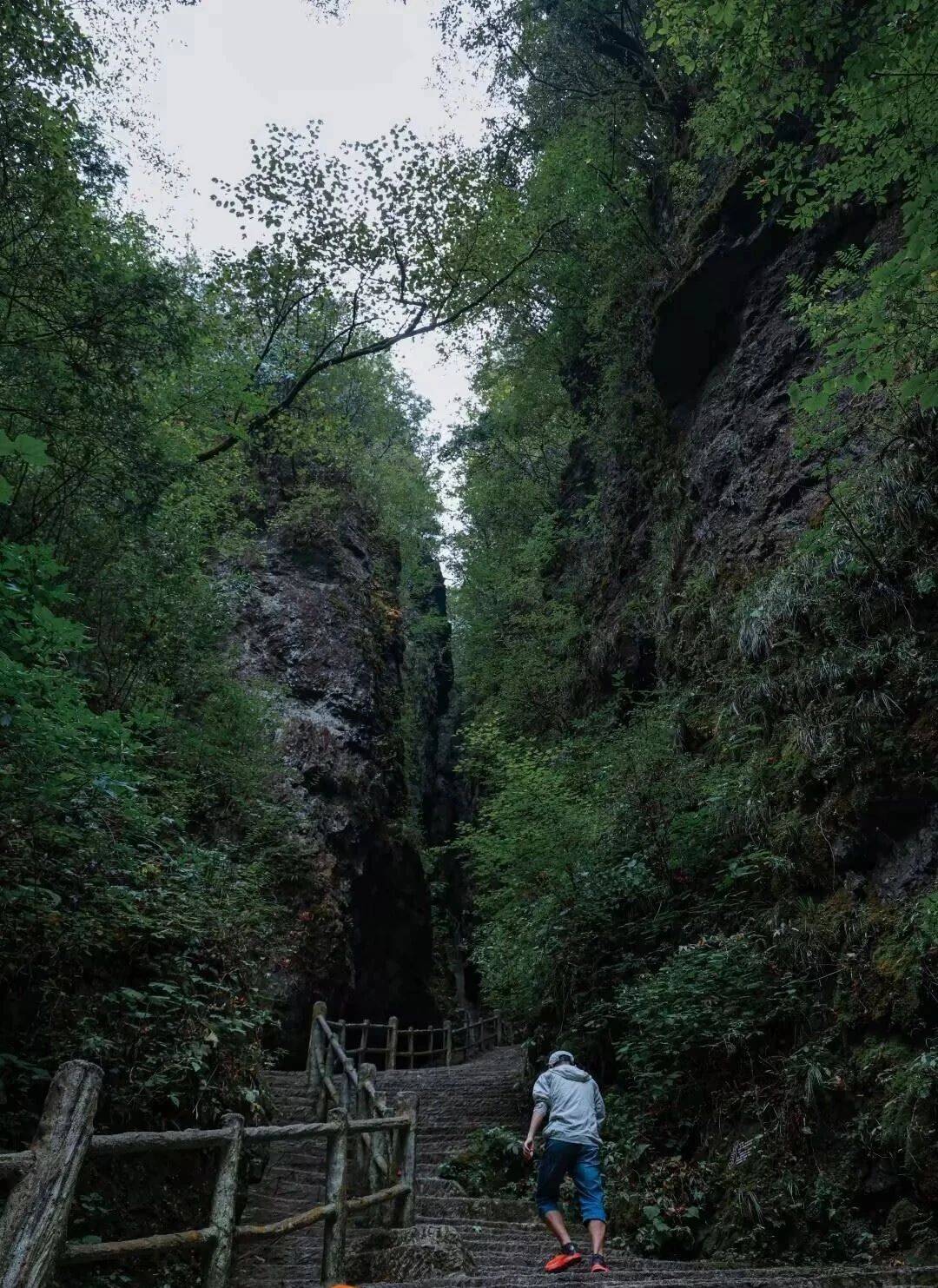 微信图片_2025-08-09_092054_757