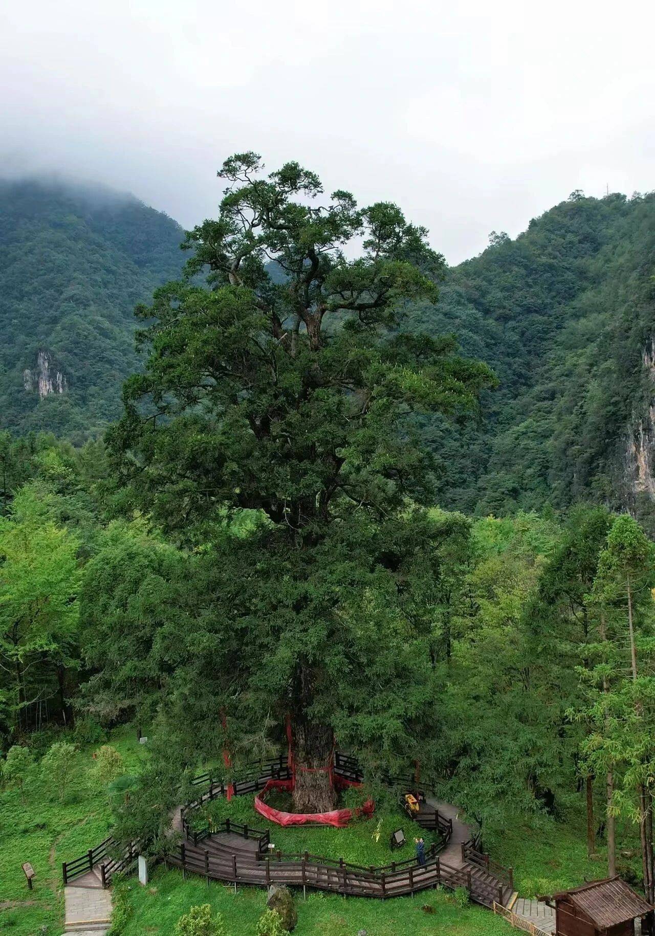 微信图片_2025-08-09_092346_341