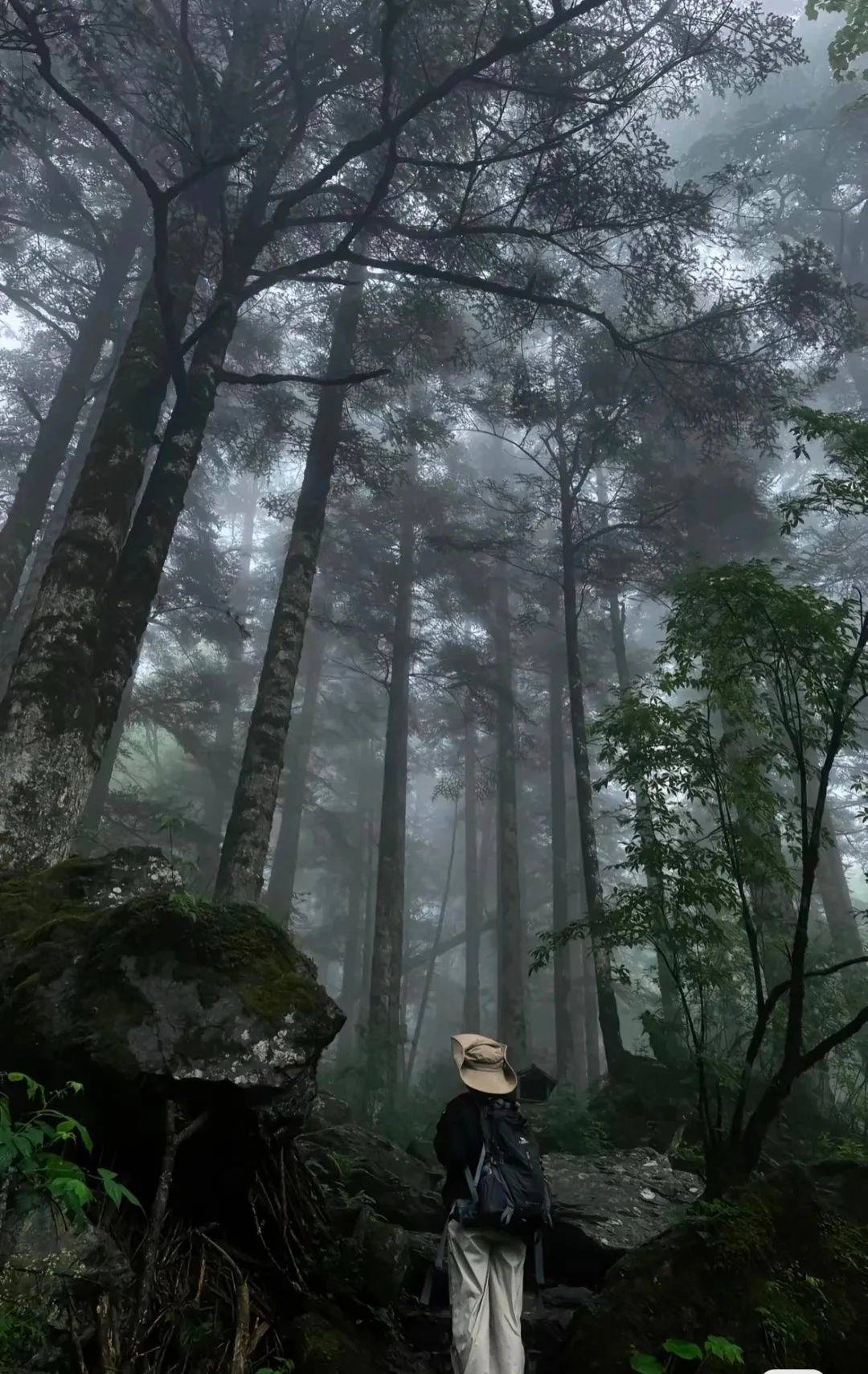 微信图片_2025-08-09_092505_868