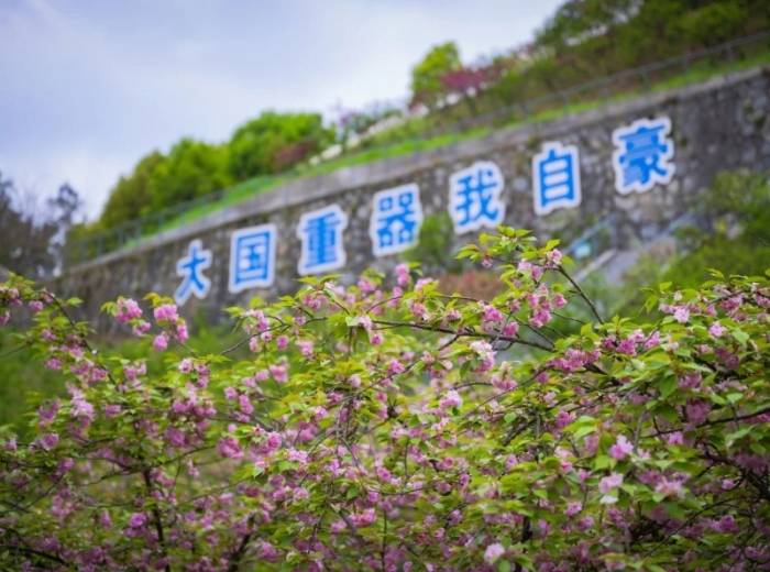 宜昌超经典两坝一峡臻享全域游，过西陵峡，葛洲坝船闸，三峡大坝，升船机一日游的价格图2