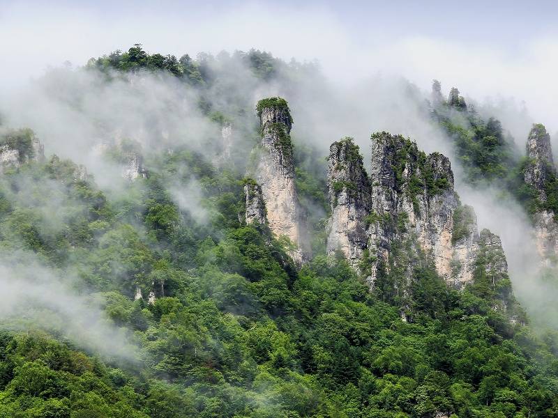 姜军－ (6)_副本