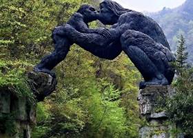 神农架跟团三日游，神农架三日游花费多少？含旅游用车，含大九湖景交，含神农架套票（神农顶 、大九湖 、官门山 、 天生桥）