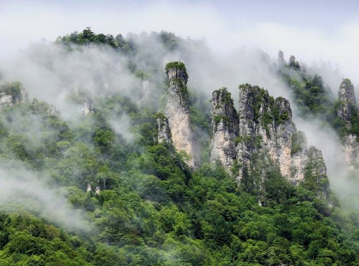 神农架跟团三日游，神农架三日游花费多少？含旅游用车，含大九湖景交，含神农架套票（神农顶 、大九湖 、官门山 、 天生桥）图2