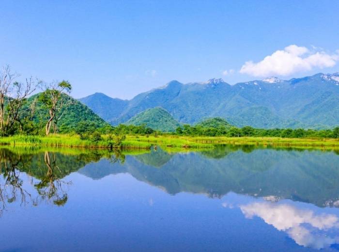 神农架跟团三日游，神农架三日游花费多少？含旅游用车，含大九湖景交，含神农架套票（神农顶 、大九湖 、官门山 、 天生桥）图4