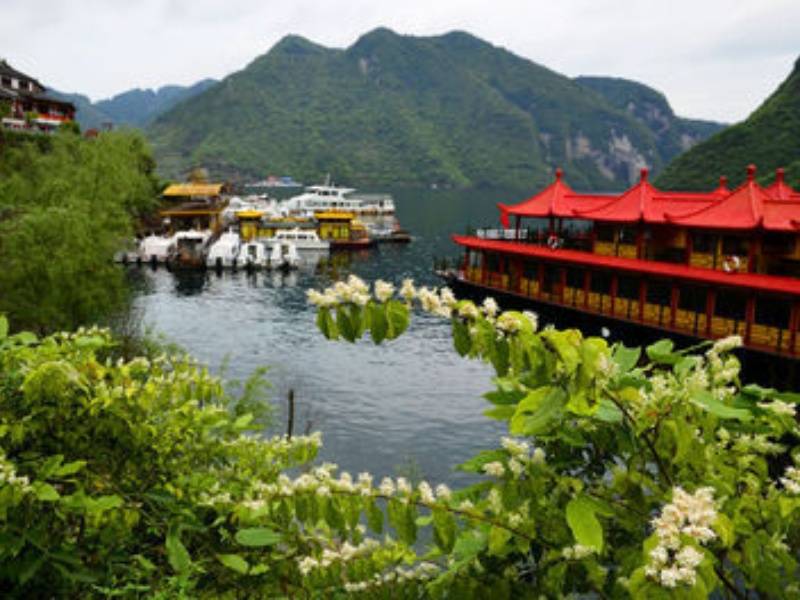 t011cbee67fa42337fe_副本