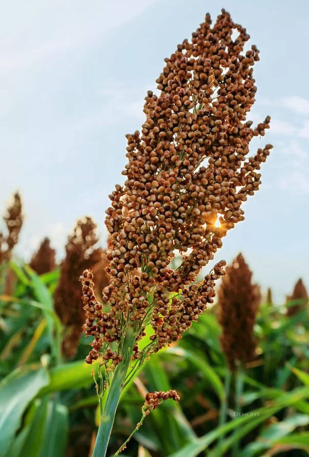 微信图片_2025-09-18_090218_775