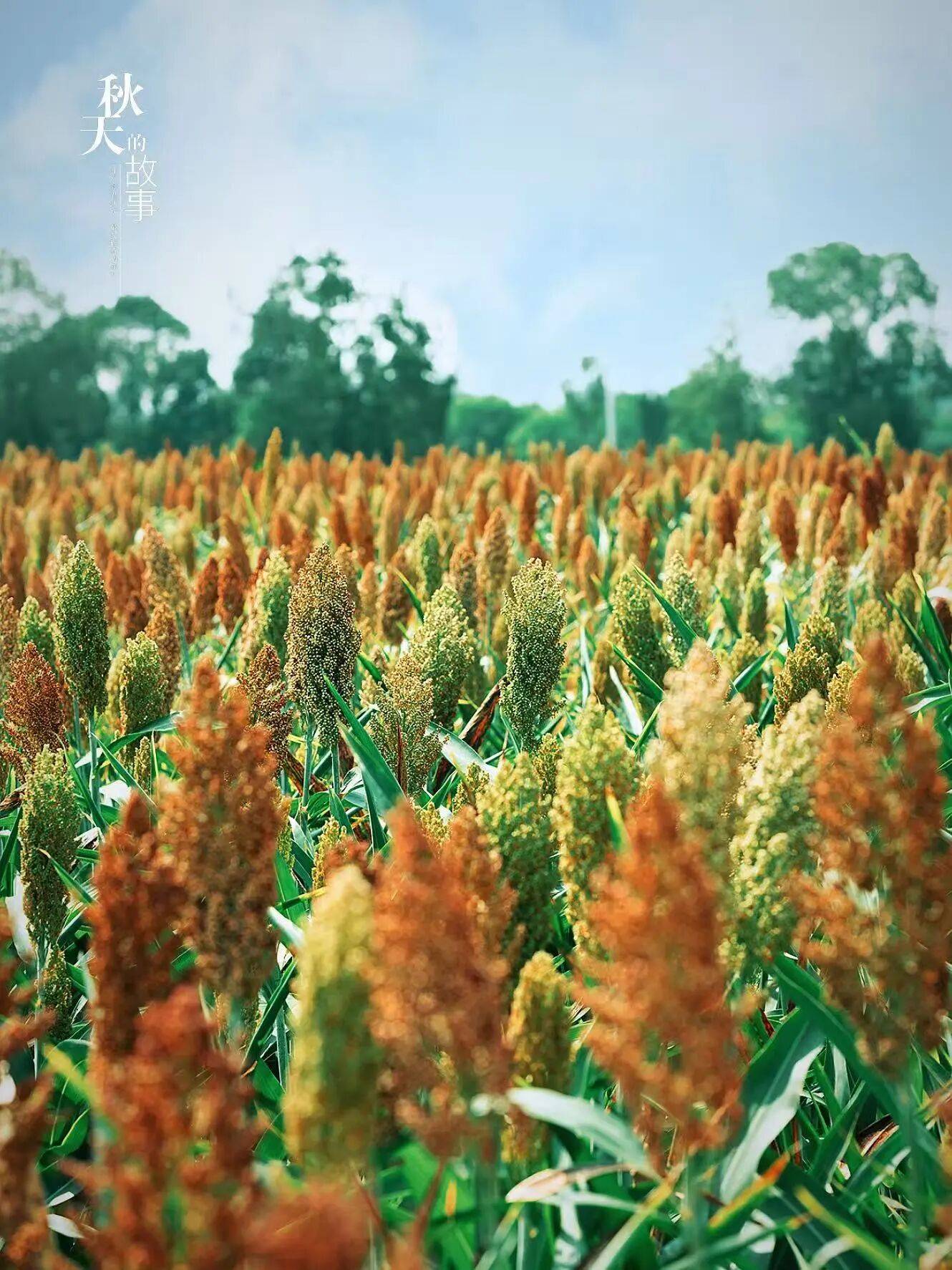 微信图片_2025-09-18_090343_182