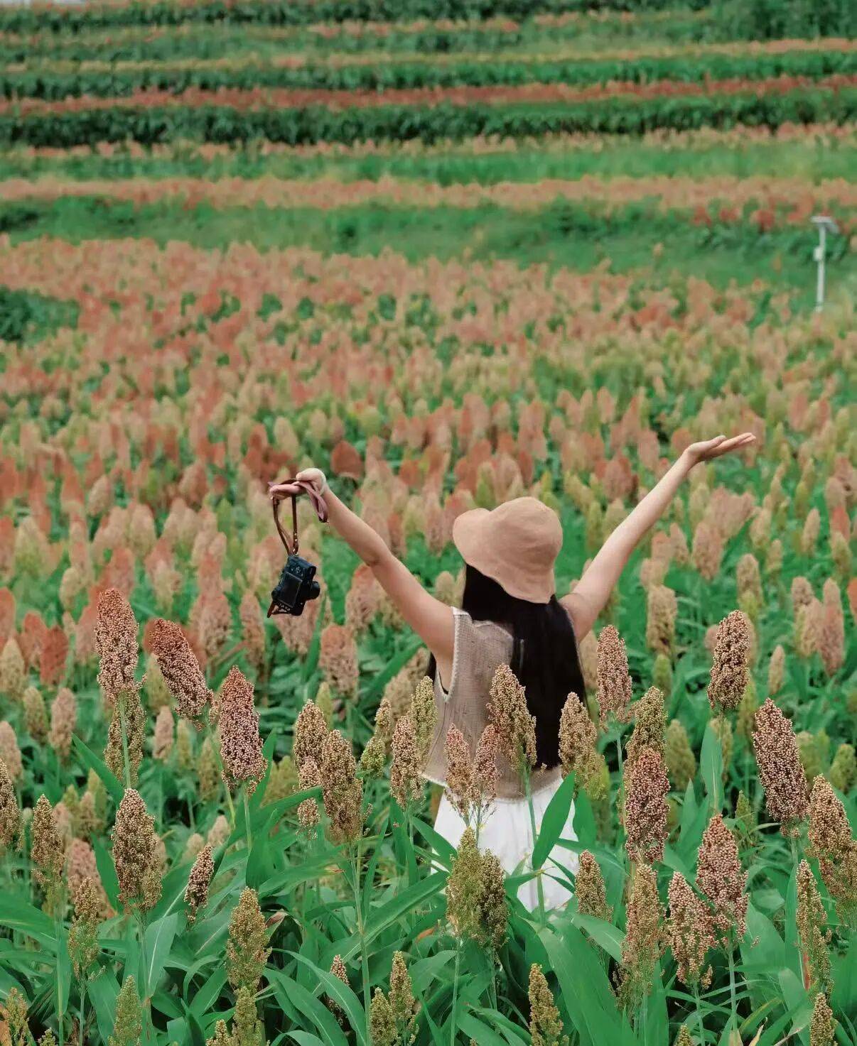 微信图片_2025-09-18_090452_887