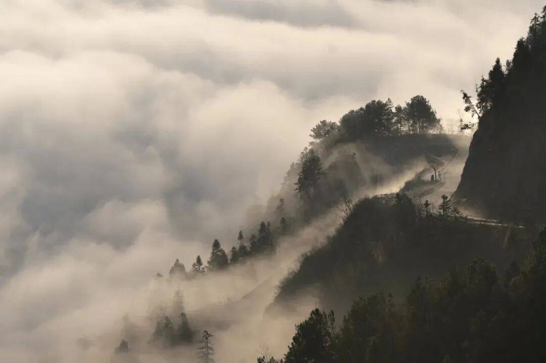 微信图片_2025-09-25_093000_301