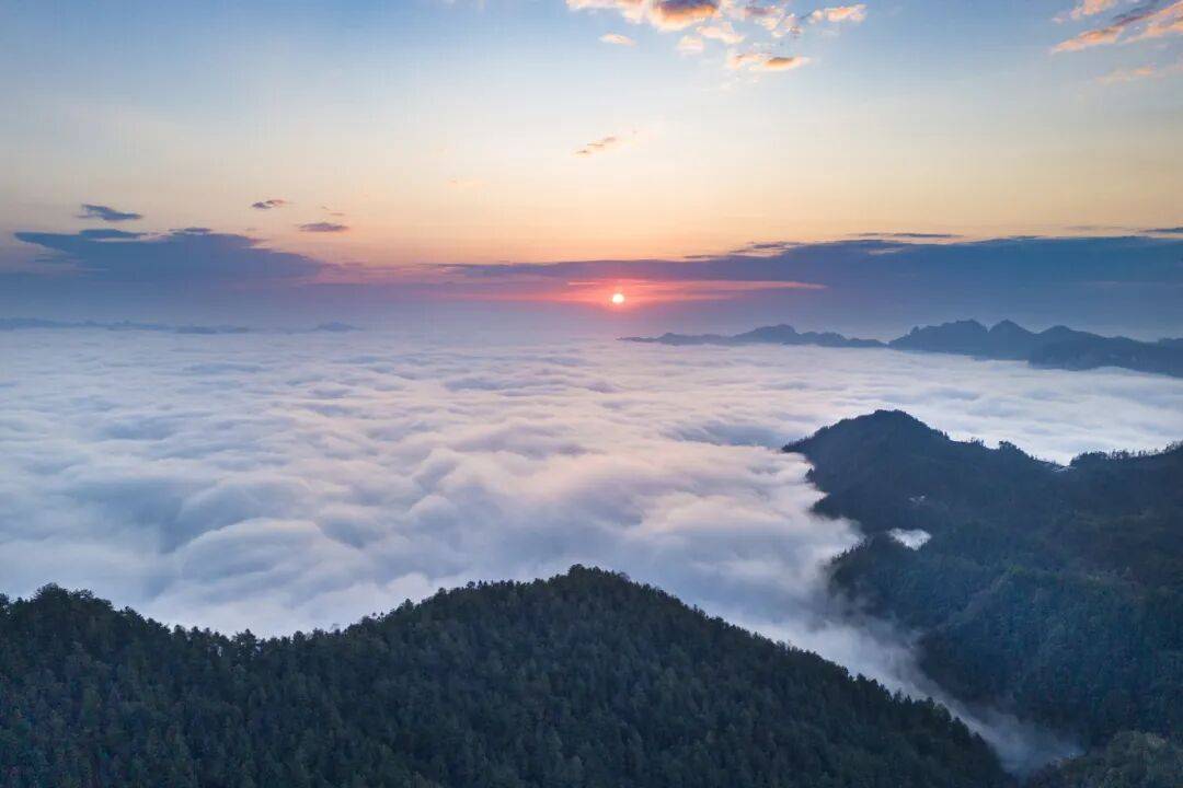 微信图片_2025-09-25_093157_799