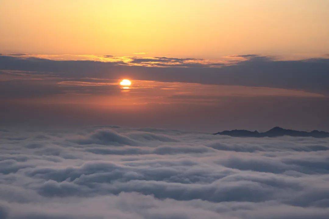 微信图片_2025-09-25_093201_857