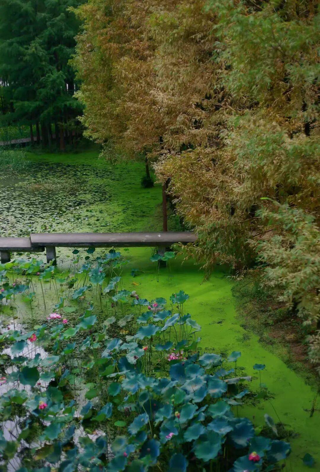 微信图片_2025-10-02_085510_232