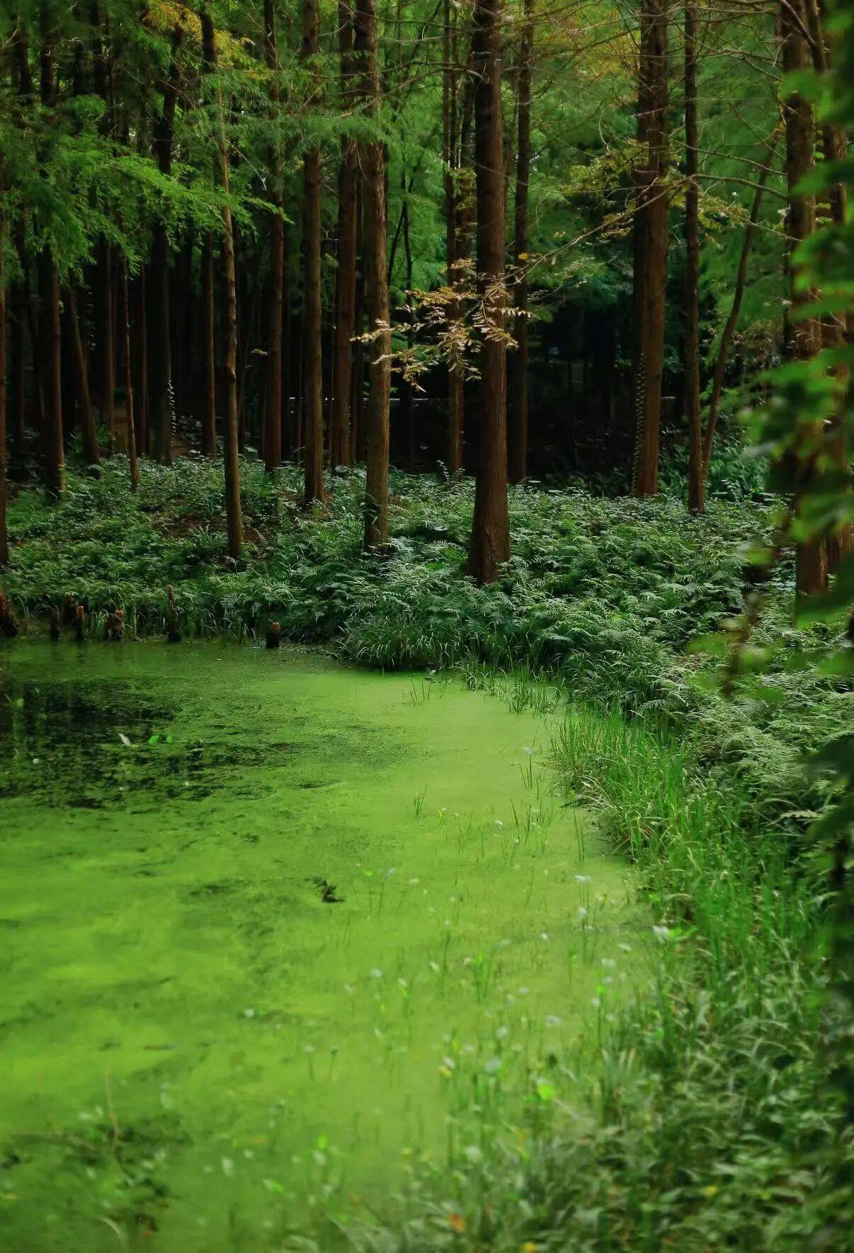 微信图片_2025-10-02_085748_470