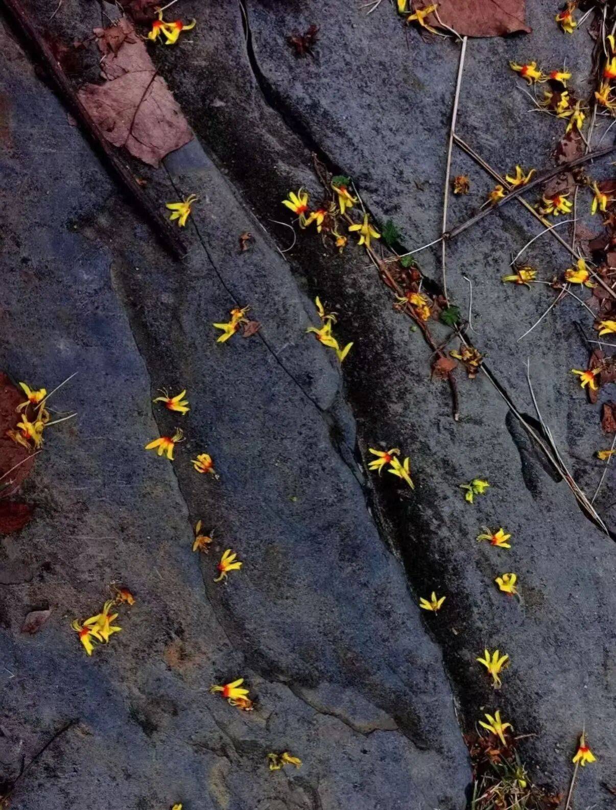 微信图片_2025-10-02_090135_260