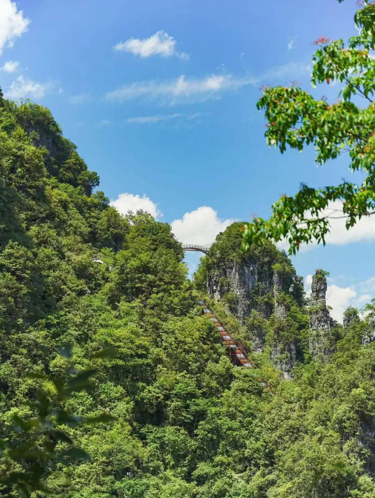 微信图片_2025-10-02_090511_453