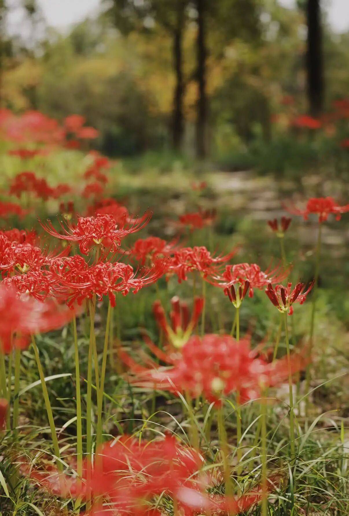 微信图片_2025-10-02_090658_749