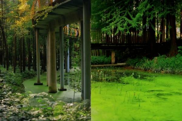 宜昌赏秋醉佳去处——巨出片的四个小众宝藏地