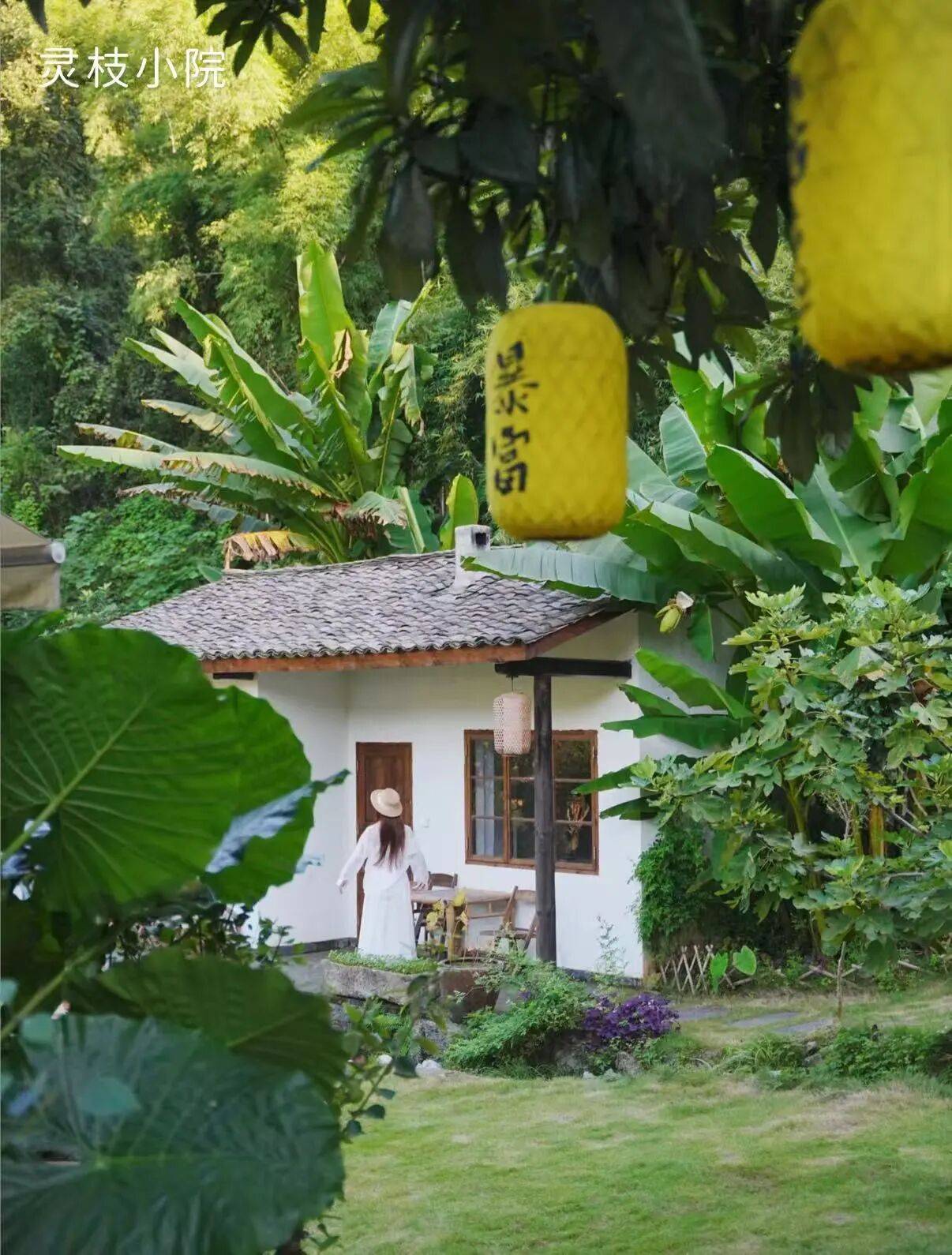 微信图片_2025-10-13_093504_787