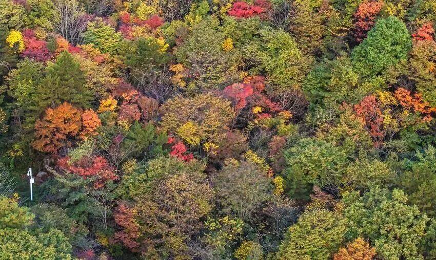 微信图片_2025-10-14_095443_807