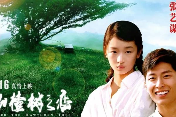 这些电影居然是宜昌拍的!(在宜昌拍的影视作品)