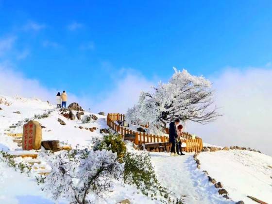 宜昌百里荒滑雪跟团一日游图4