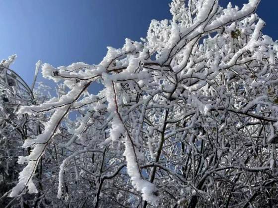 百里荒赏雪一日游图5