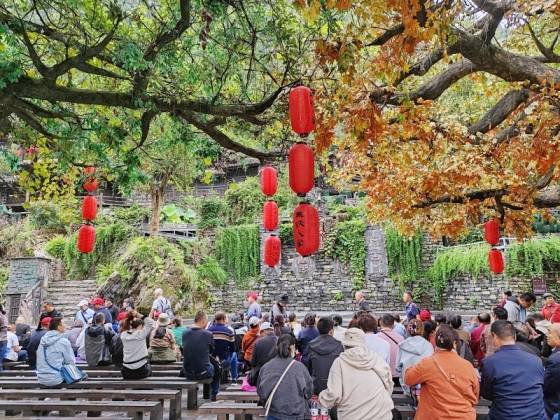 三峡大坝三峡人家全景一日游图6